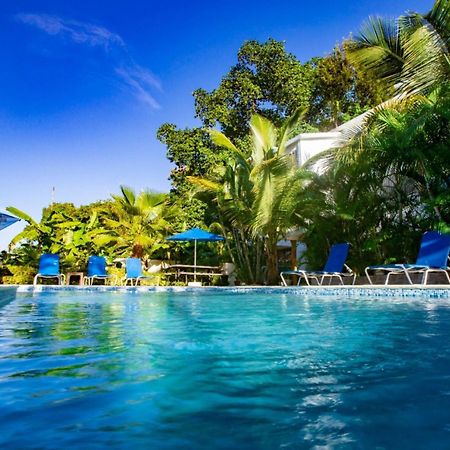 Cozy And Central Apartment 1Br-1Ba With Pool Sosua Ngoại thất bức ảnh