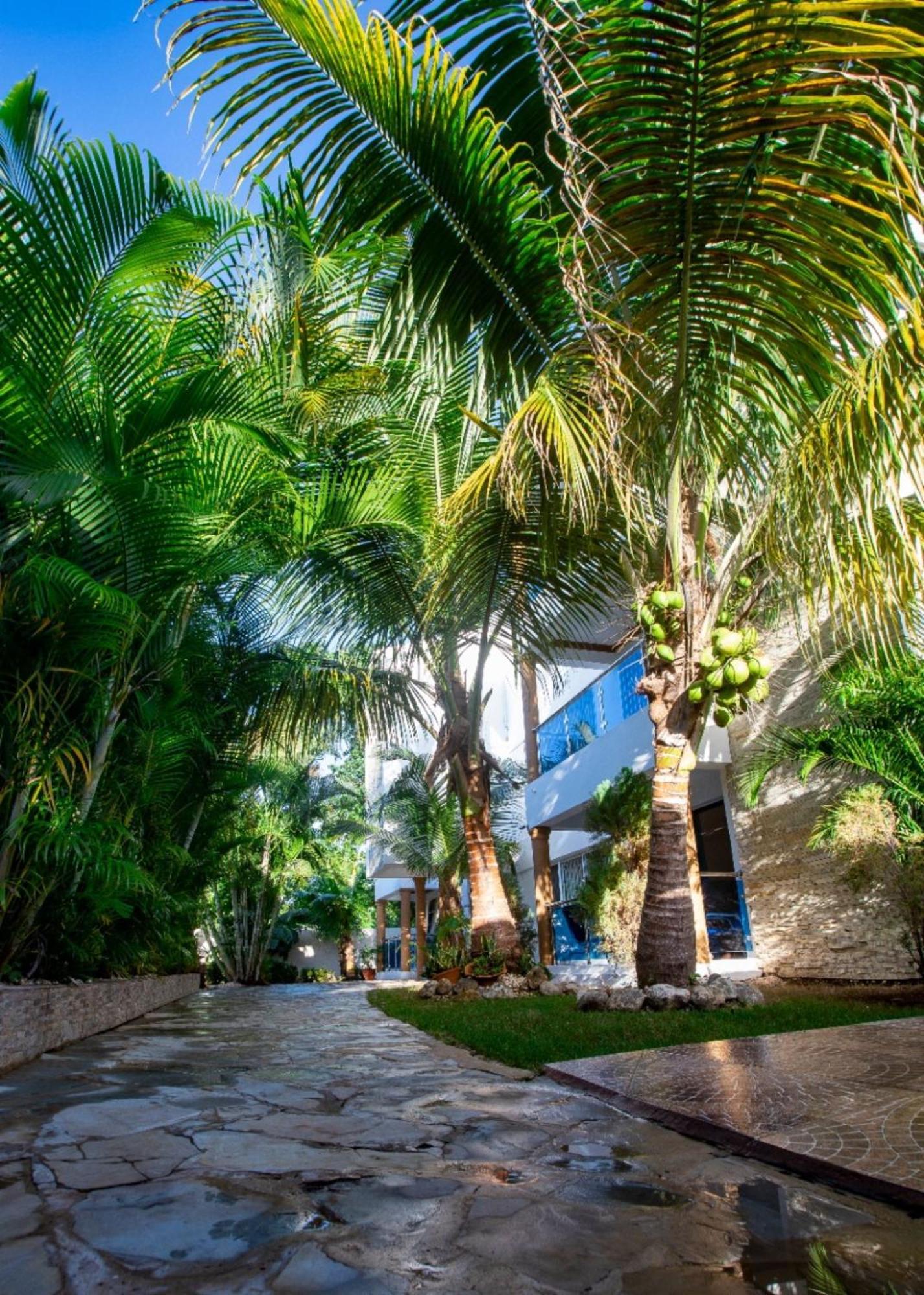Cozy And Central Apartment 1Br-1Ba With Pool Sosua Ngoại thất bức ảnh